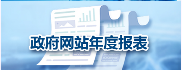 政府网站年度报表